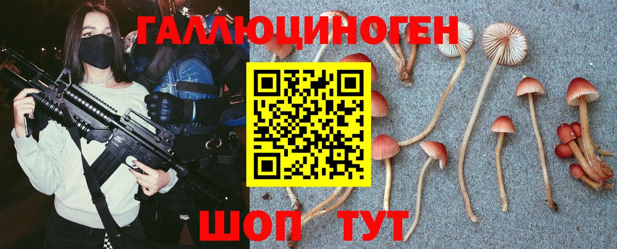 Галлюциногенные грибы прущие грибы  Вход с VPN  Майский 